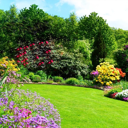 Eco Solutions near Durham