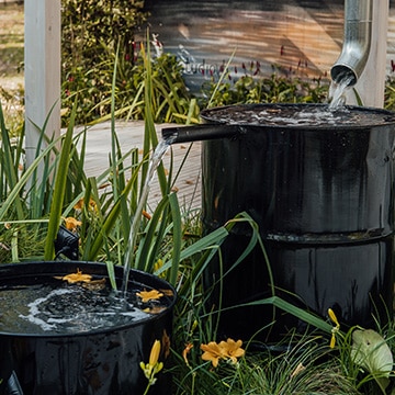 Rain Gardens County Duhram - Green Horizon